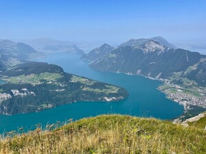 Bild 8_e7d7jj3oa583.jpg